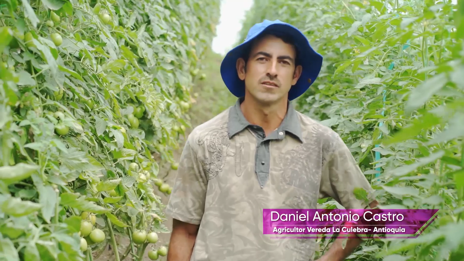 Antioquia-Zorvec-Daniel-Antonio